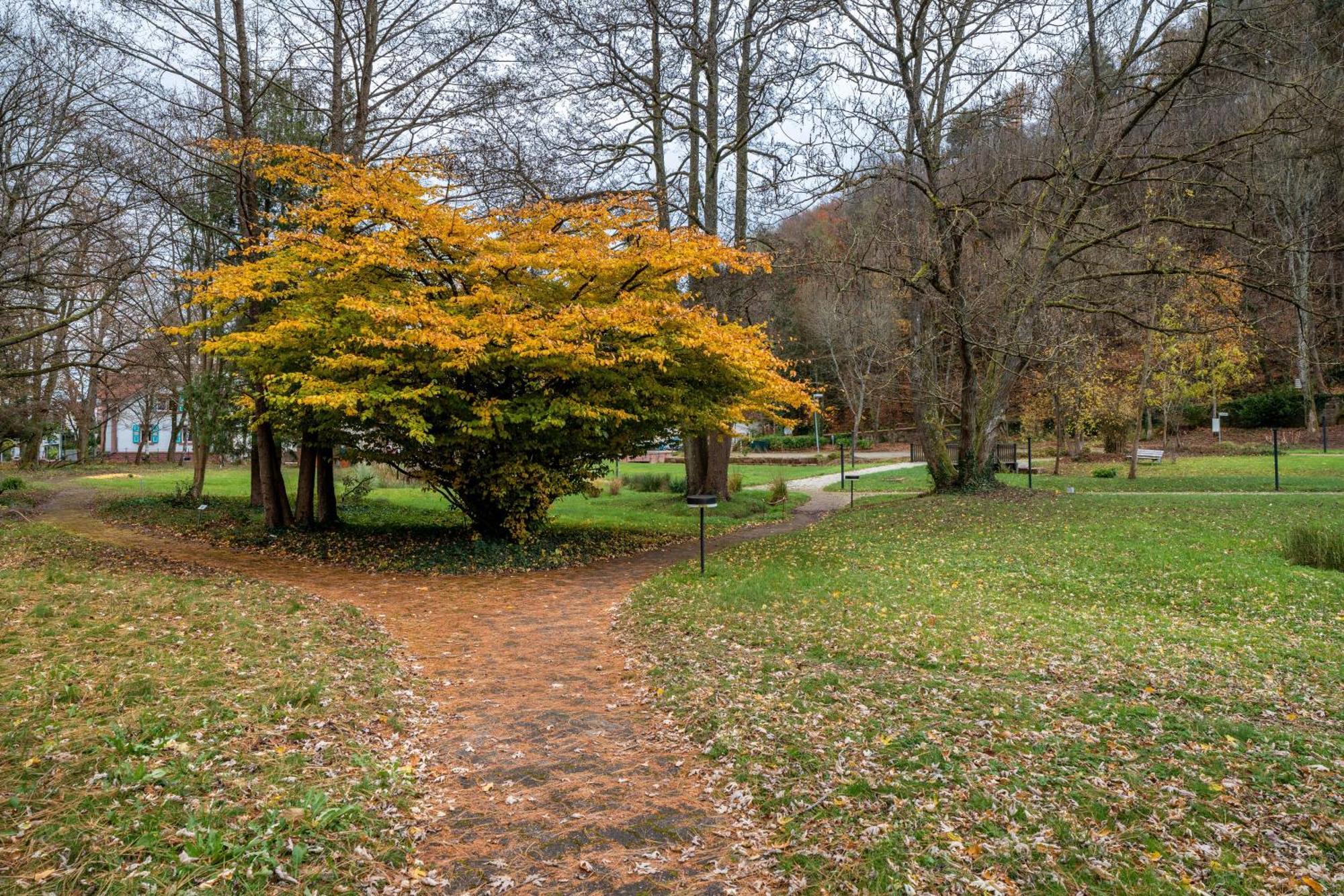 Luise Lägenhet Bad Bergzabern Exteriör bild
